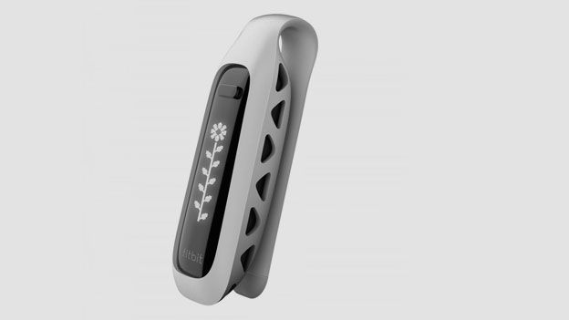 Fitbit One