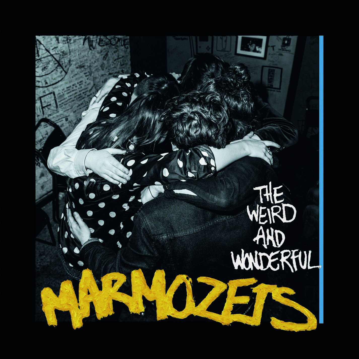 Marmozets - The Weird And Wonderful Marmozets