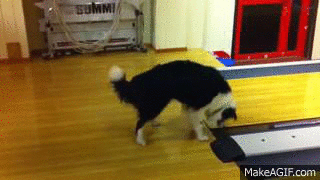 oRj_Hu on Make A Gif, Animated Gifs