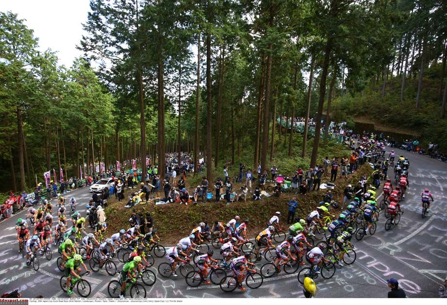 The peloton makes its way up the climb