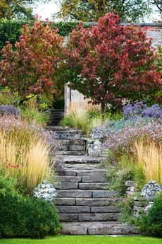 The billowing perennials and repeating grasses achieve the balance of appearing contemporary, yet as if they have always been there, helped by the delicate Mexican daisy, Erigeron karvinskianus, which seeds within the stones . The gardens at Hopetoun House, West Lothian. ©Claire Takacs