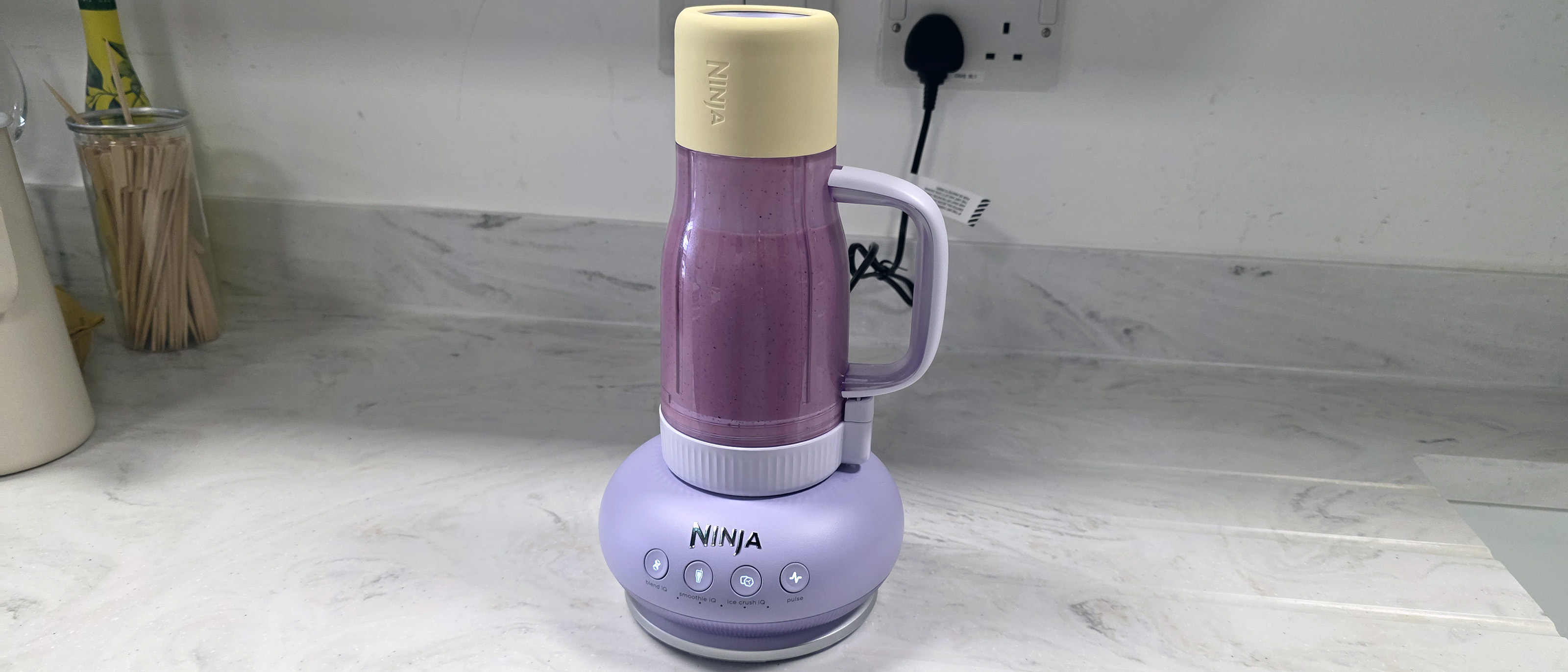 Ninja BlendBoss review