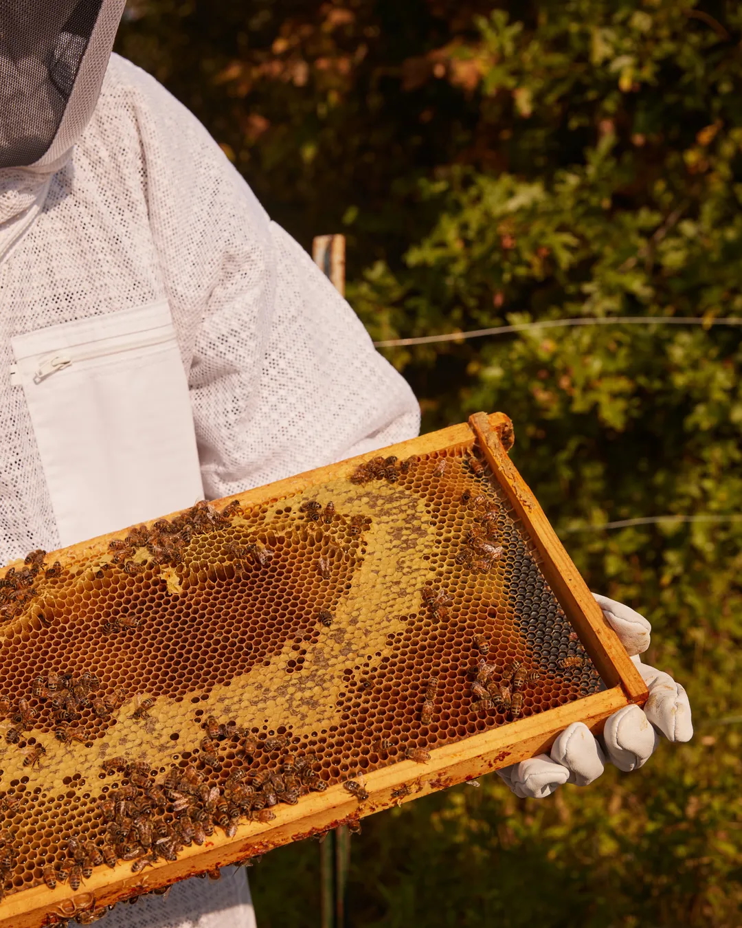 do luxury hotels need a farmer in residence