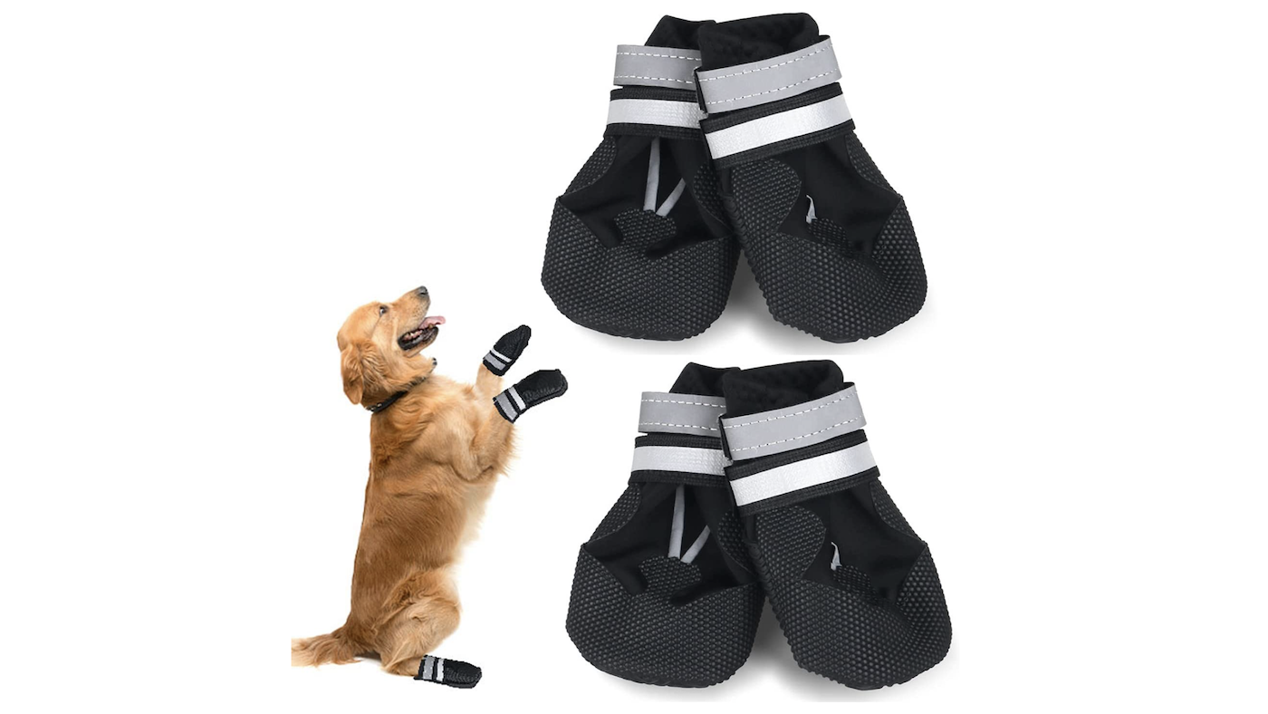 Avvrel dog boots