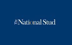 national-stud.jpg