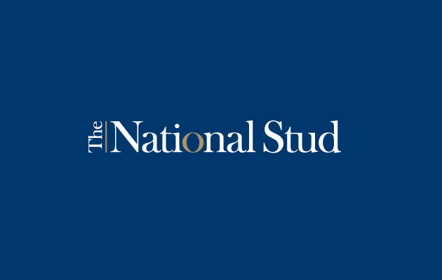national-stud.jpg