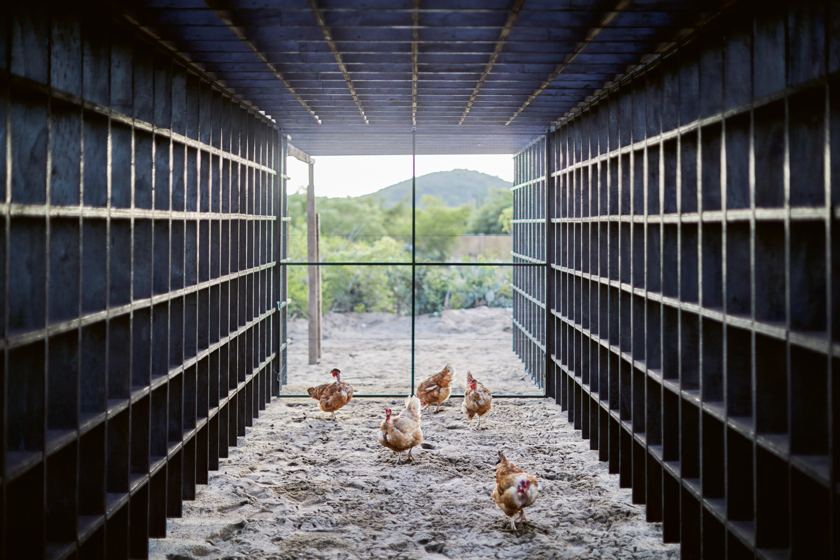 Casa Wabi Coop, Oaxaca, Mexico, 2018