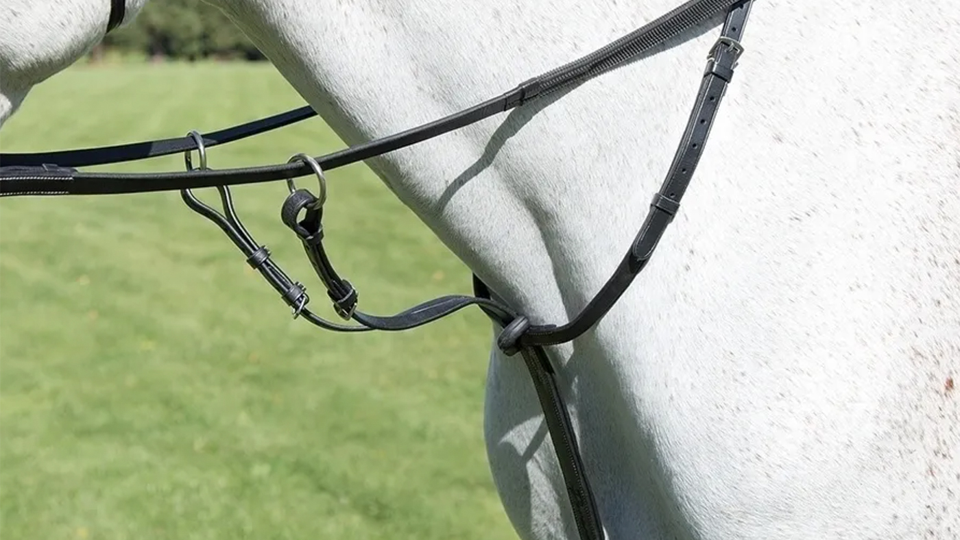 Shires Avignon Running Martingale