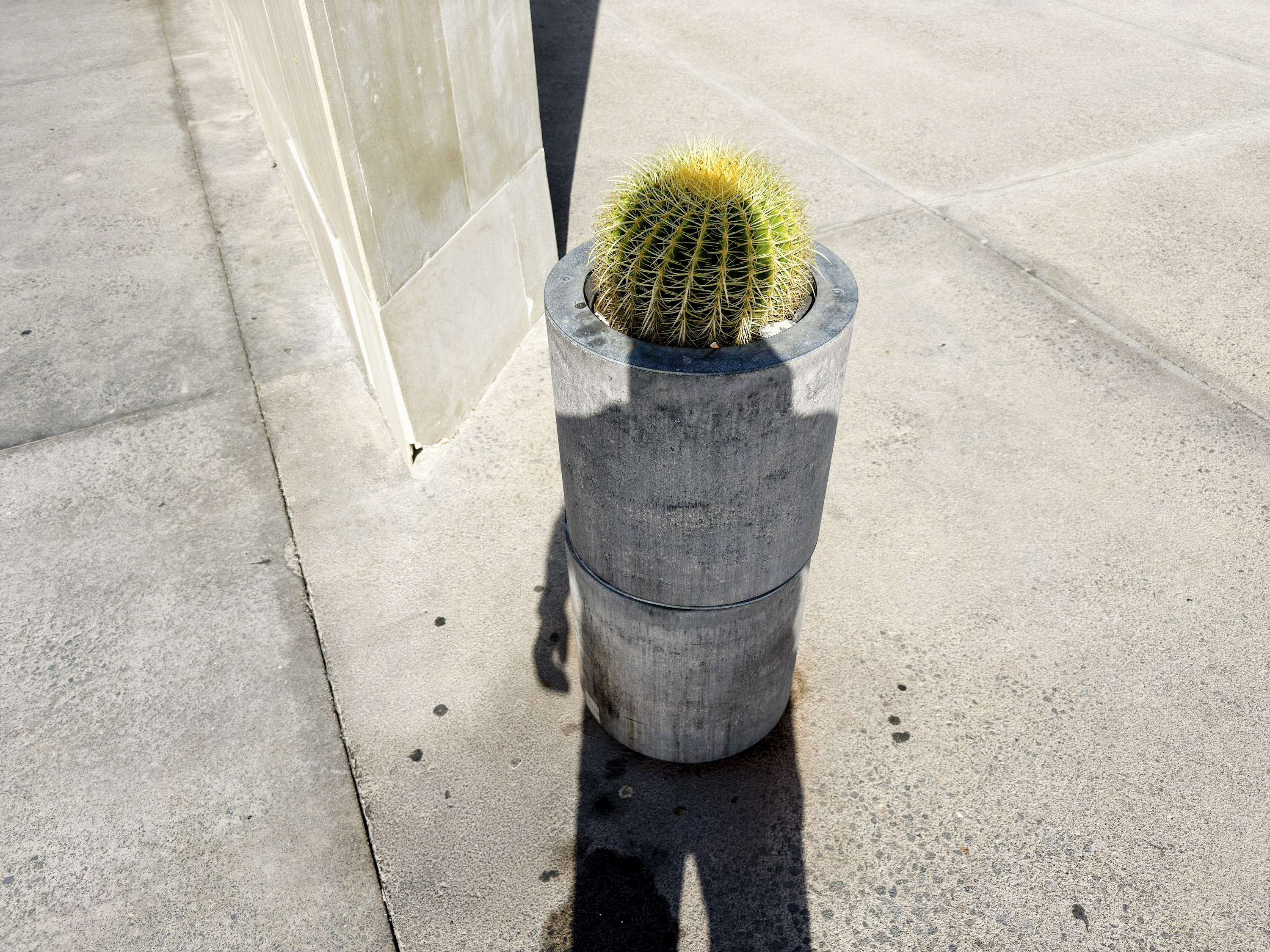 Photo of a person's shadow over a cactus plant, taken using the iPhone 15 Pro Max with Fjorden grip