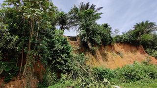 a photo of a trench in a rainforest landscape