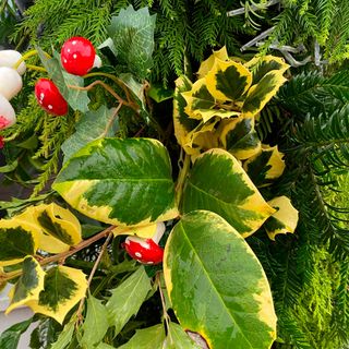 garden arch with leaves and mushrooms