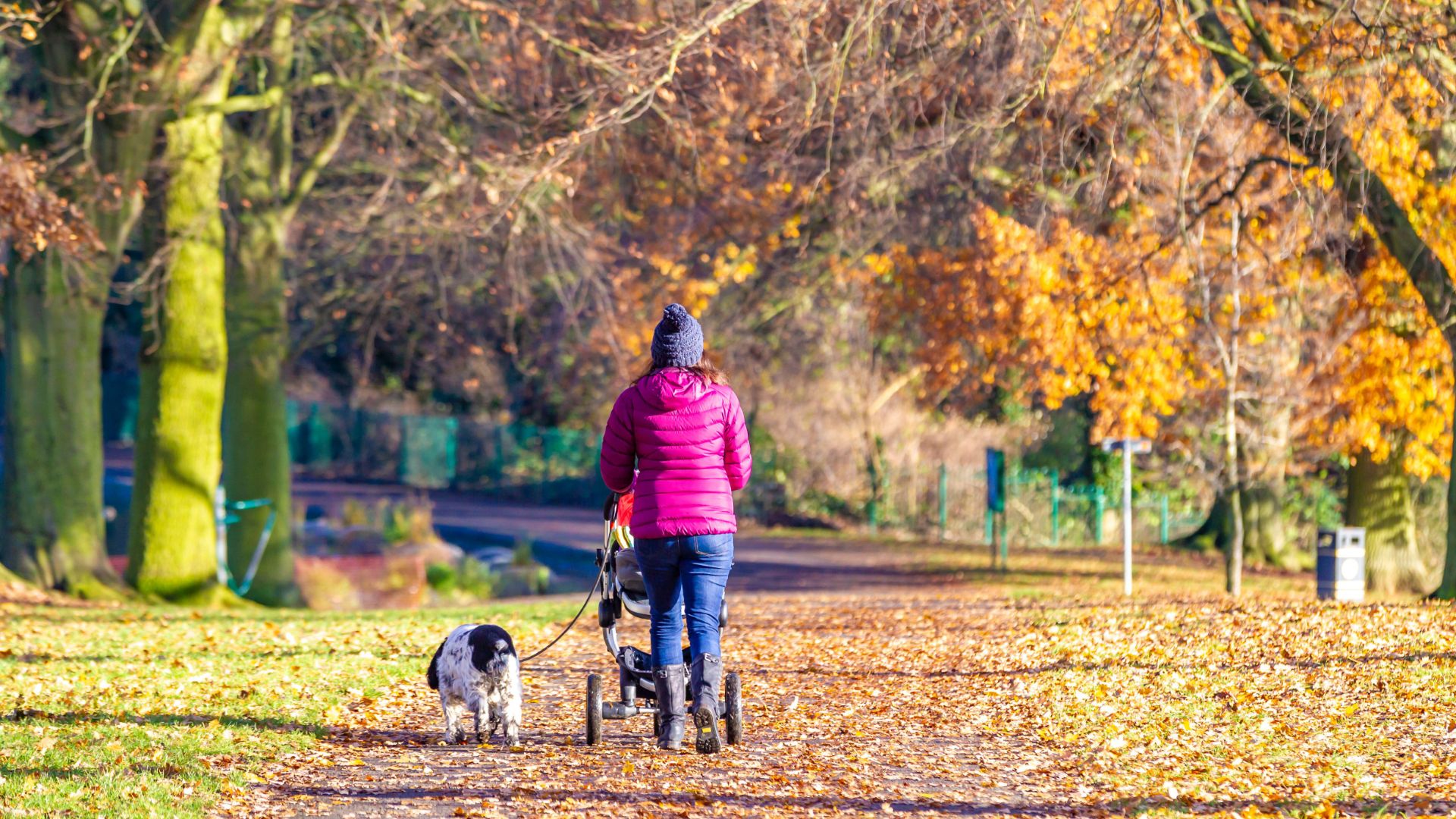 Woman walking her dog while pushing a pram