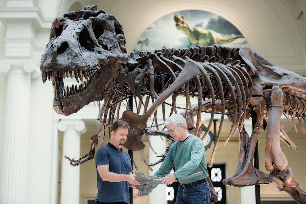 Sue the T. Rex gets life-like model to match skeleton - Chicago