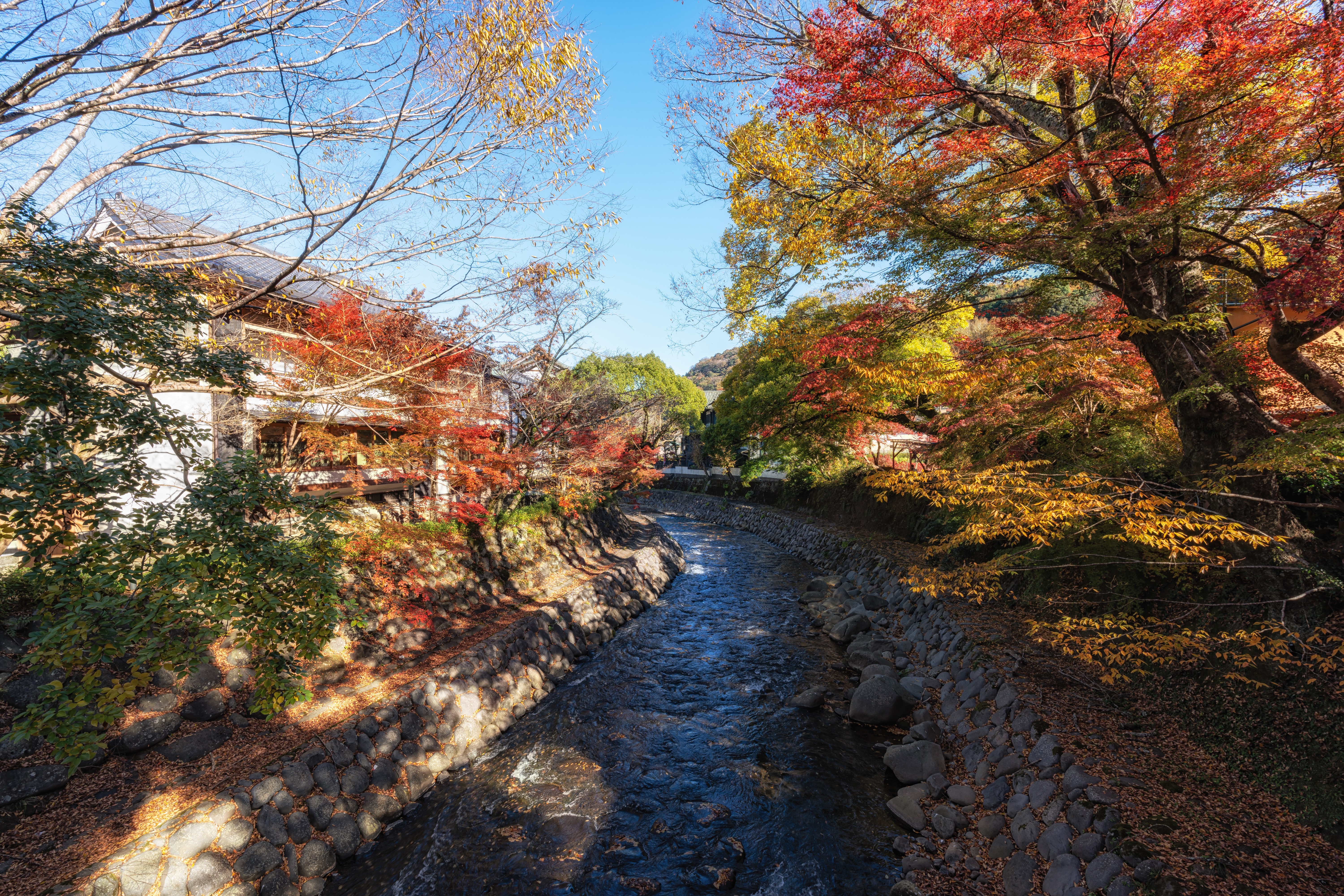 Autumn in Shuzenji, Japan