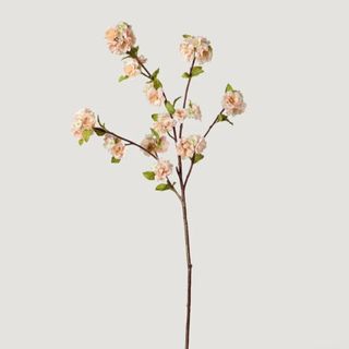 Cream Linen Peach Blossom Branch