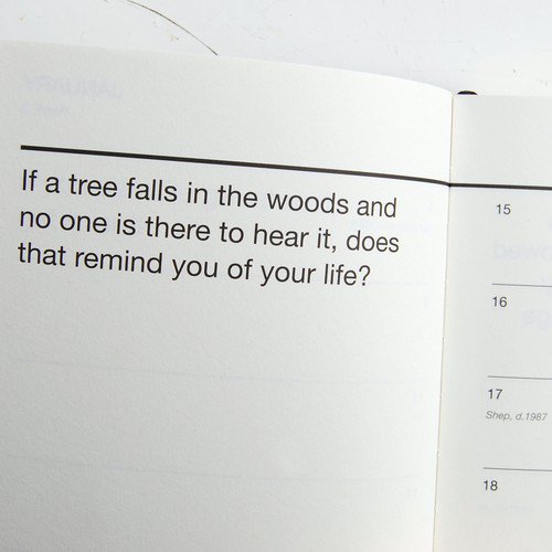 The Perpetual Disappointments Diary