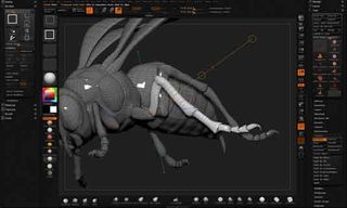 zbrush bug