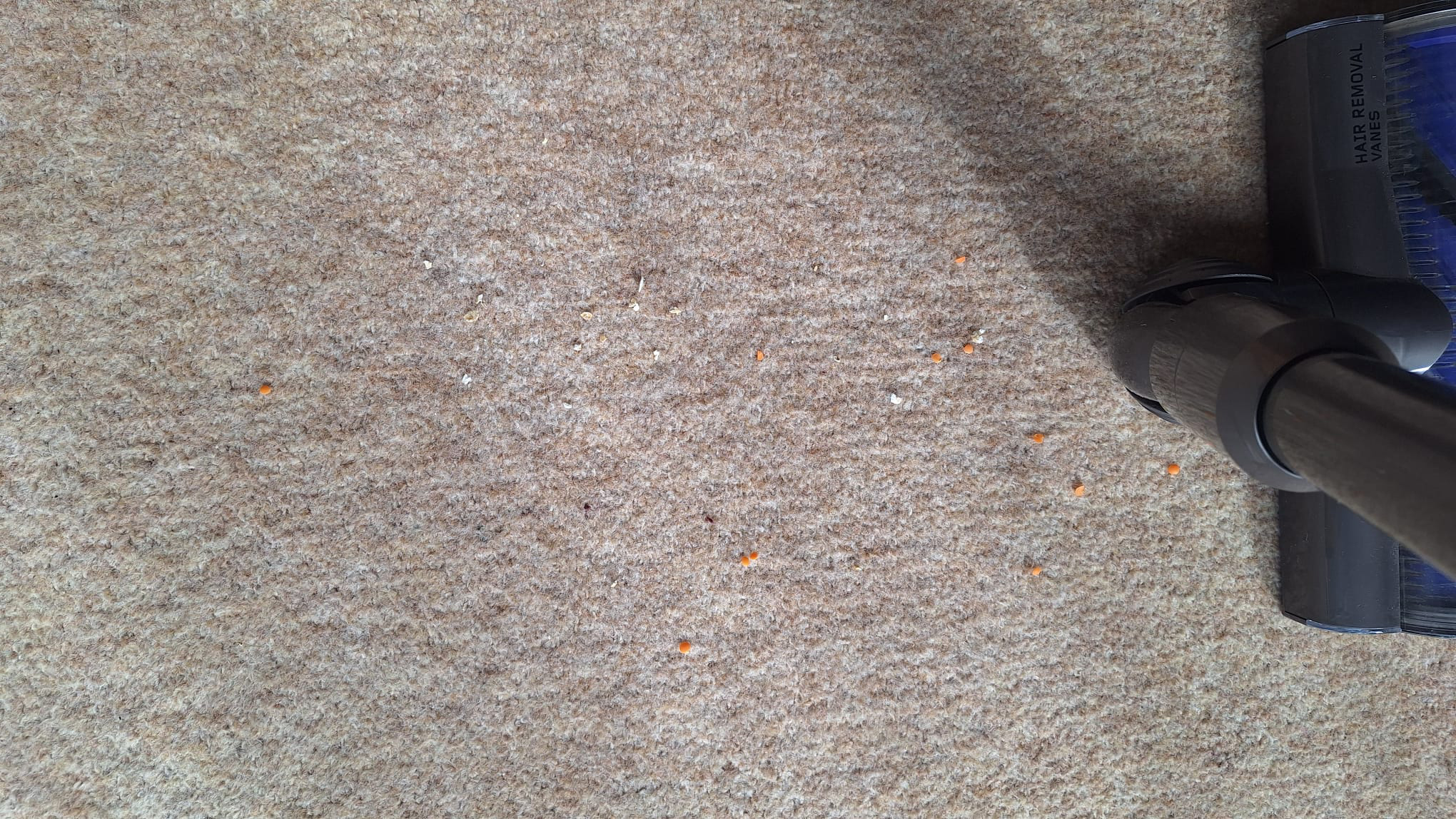 The remaining oats and lentils after a single forward pass with the Dyson V8 in standard mode