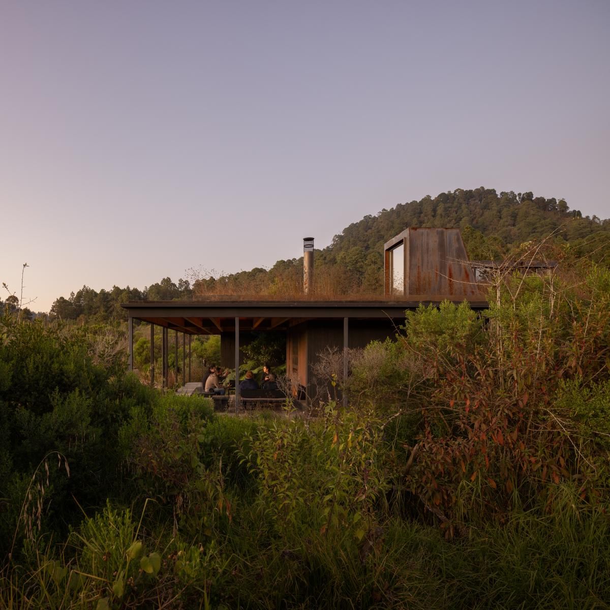 Rainwater-harvesting architecture leads this Mexican home