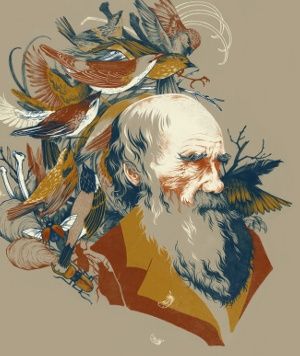 Teagan White’s ‘The Descent of Man: A Portrait of Charles Darwin’ illustration was created using graphite and Photoshop CS5