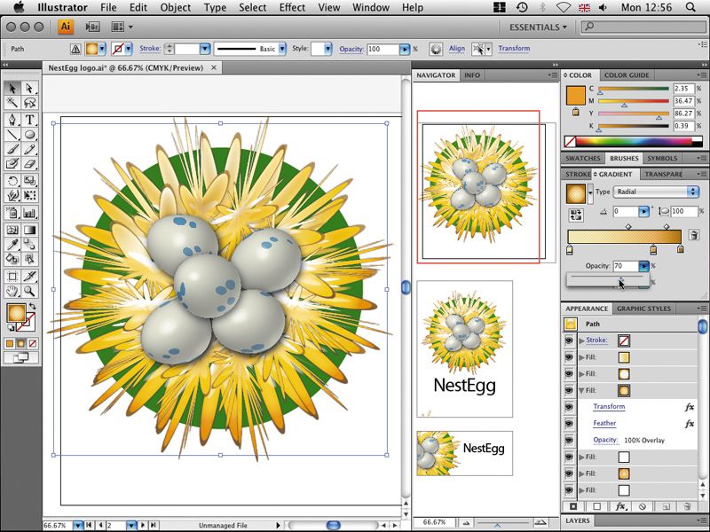 adobe illustrator cs4 for windows