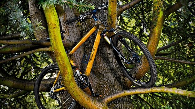Bamboo bikes X C MTB