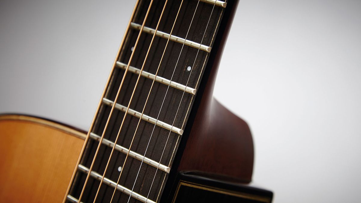 That's an ebony fretboard with 20 medium frets