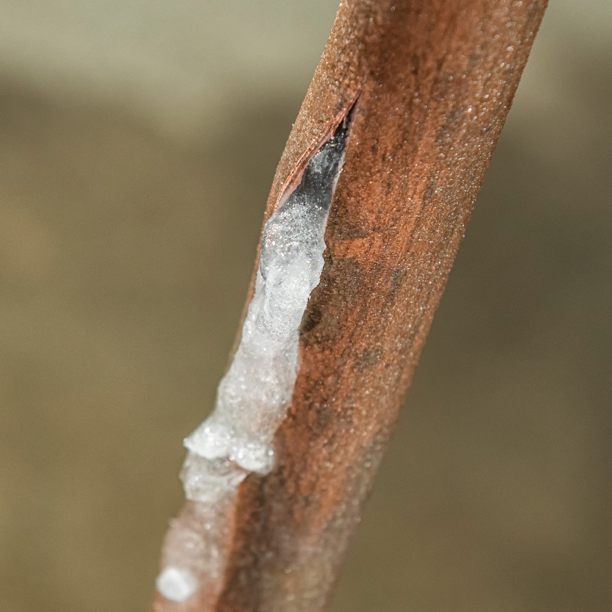 Burst frozen water pipe