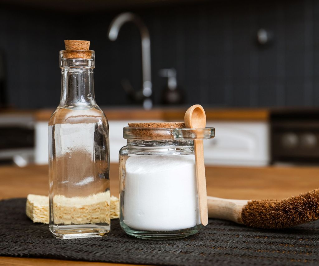 How to get rid of gnats with white vinegar: with expert tips