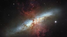 Hubble Telescope observations of the glorious galaxy M82, bursting with white starlight and red gas clouds. Stars are forming 10 times faster here than in our Milky Way, according to NASA.