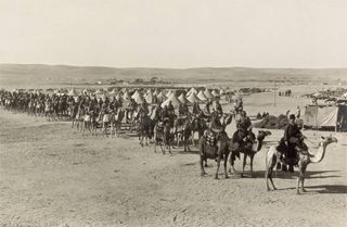 camel corps