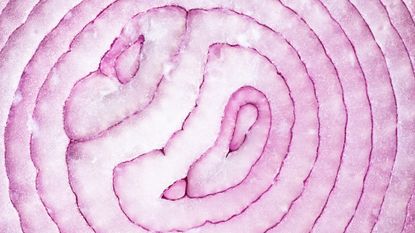 inside of a red onion