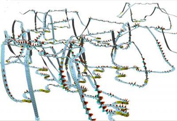A visualization of humpback whale movement.