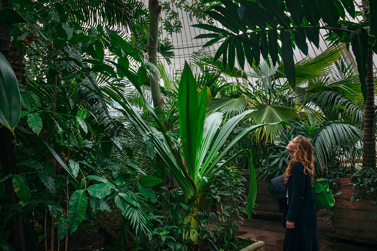 Vincenzo Di Nuzzo's winning image from the Category 'Captured at Kew'