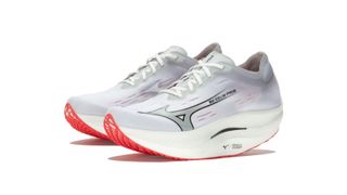 Mizuno Wave Rebellion Pro 2