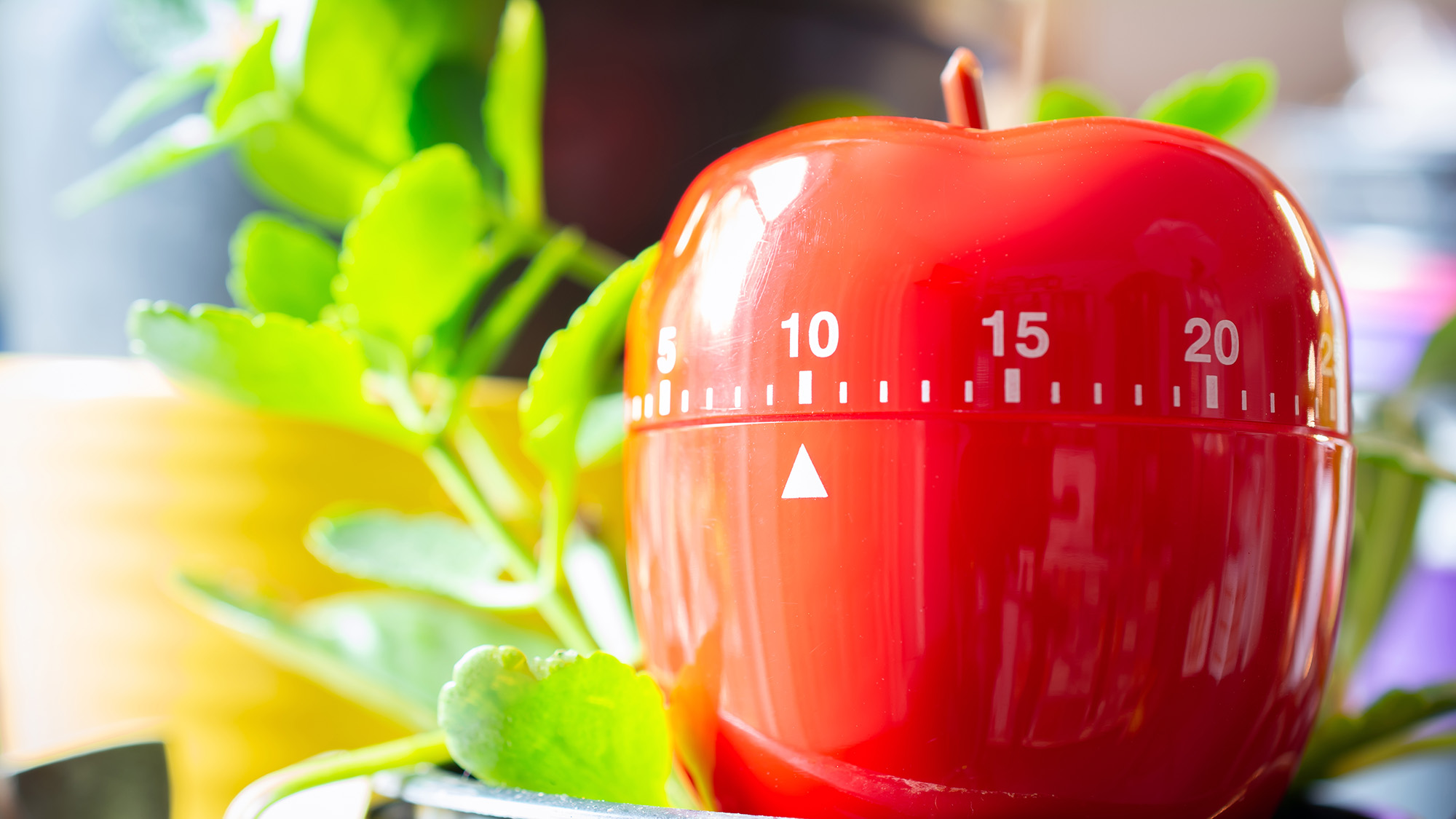 Kitchen timer