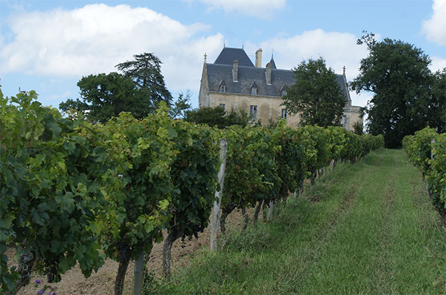 Ch&amp;acirc;teau Fauchey in Cadillac C&amp;ocirc;tes de Bordeaux.
