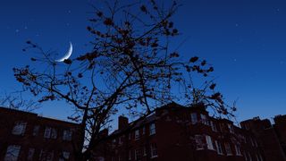 Xiaomi 12 camera sample