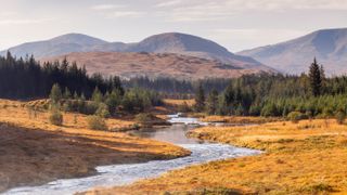 Carrick Lane in the Galloway Forest Park