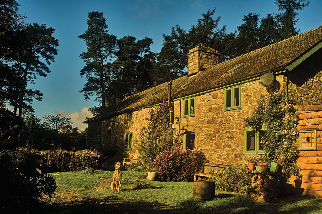 Property for sale with wildflower meadows: Bwlch Coch, Llanwrthwl, Powys.