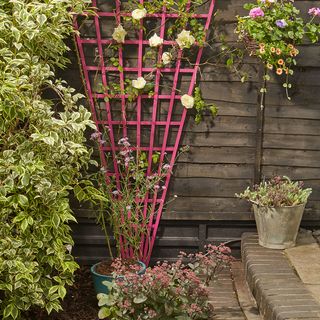 garden area with flower plants and pink trellis