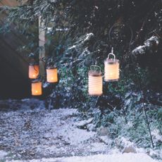 Wintry flower bed with snow and stakes with night paper lanterns