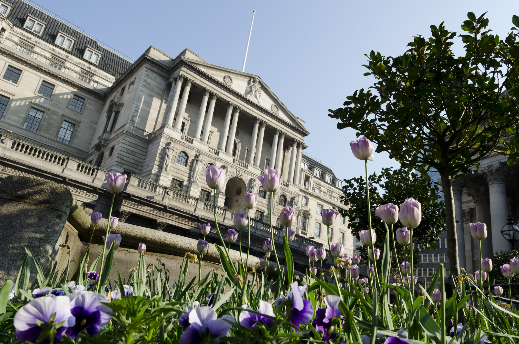 Bank of England with flowers in foreground