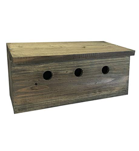 Selections Sparrow Colony Wooden Nesting Box Terrace Bird House