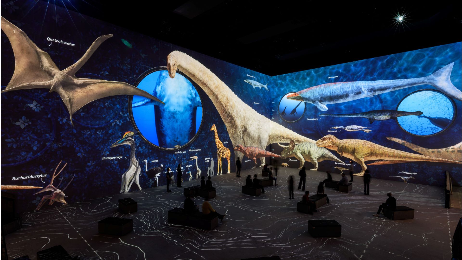 an image of the interior of the exhibit which has blue screens and loads of life-size dinosaurs