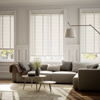 neutral living room with white venetian blinds in the window and a greige sofa