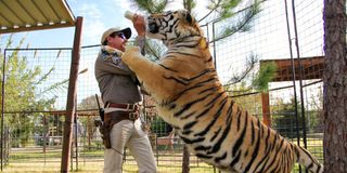 Joe Exotic feeding a tiger in Tiger King