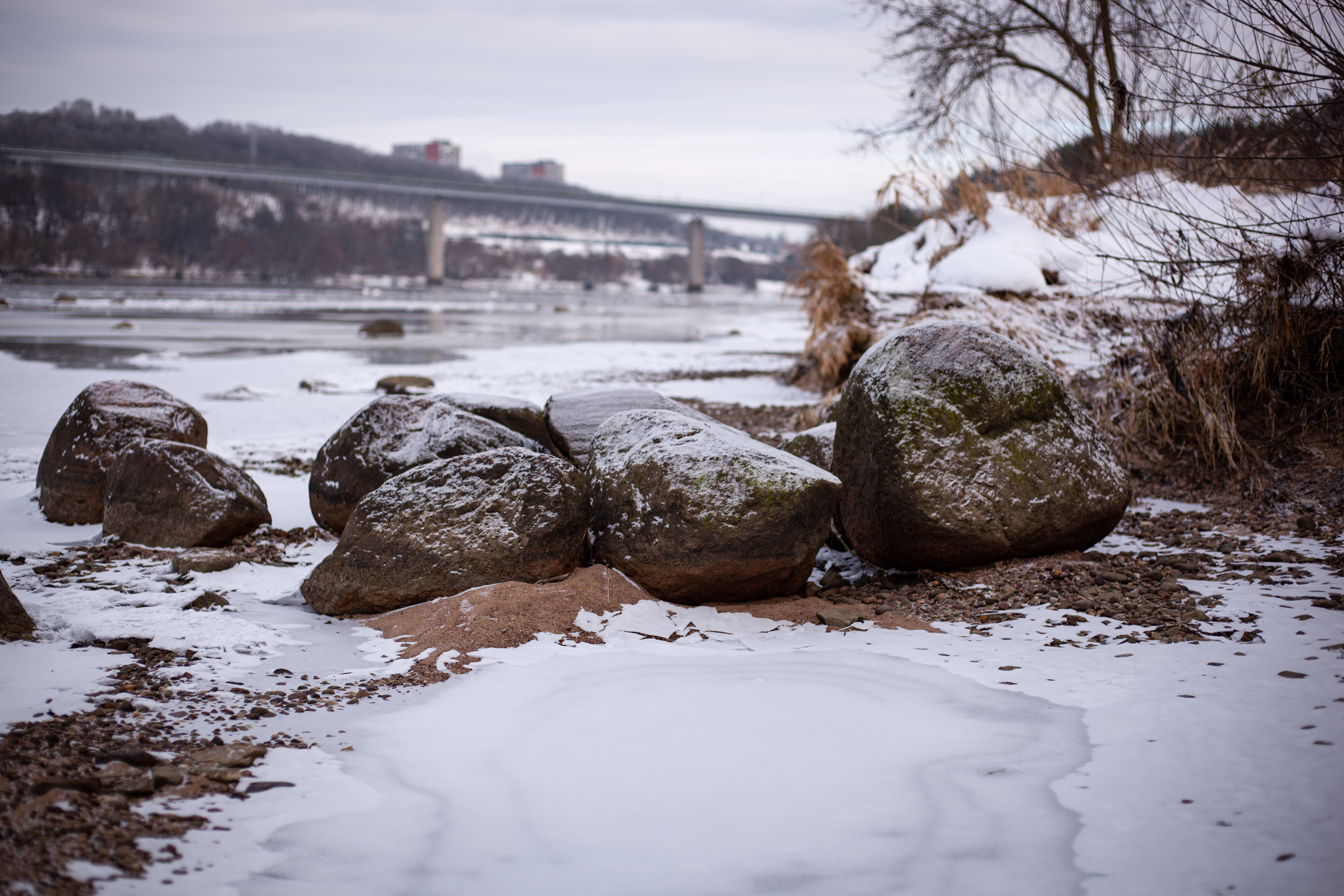 GuruShots - Nature March 2026