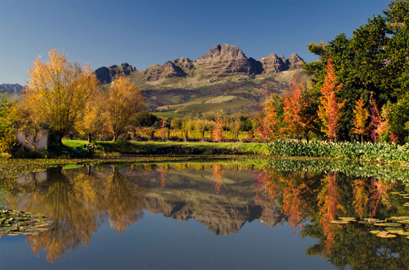 Stellenbosch wine estate, pam golding properties