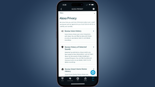 Alexa Privacy settings showing review voice history sub-menu